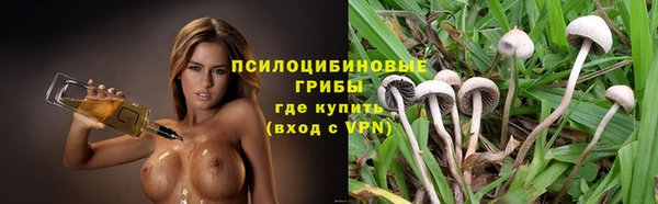 экстази Богородицк
