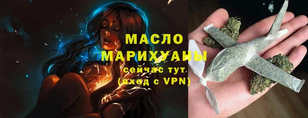 гидра Богородск
