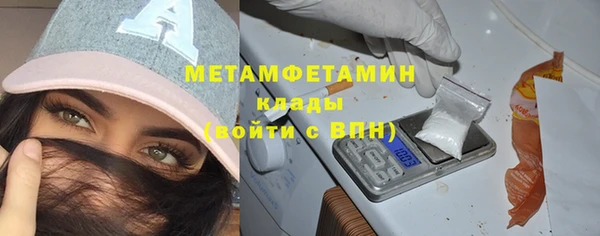 гидра Богородск