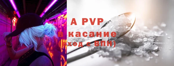 бошки Богданович