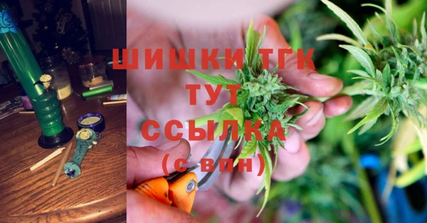 гидра Богородск