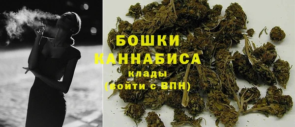 гидра Богородск