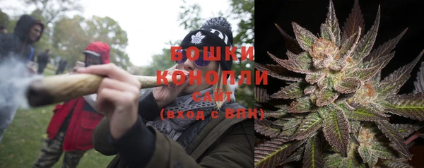 гидра Богородск