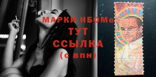 гидра Богородск