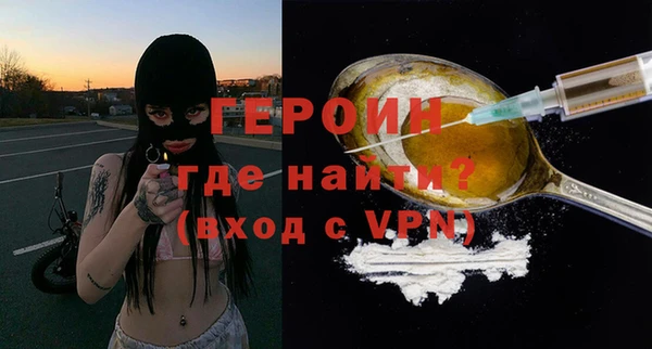 гидра Богородск