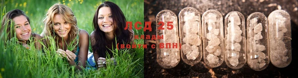 бошки Богданович