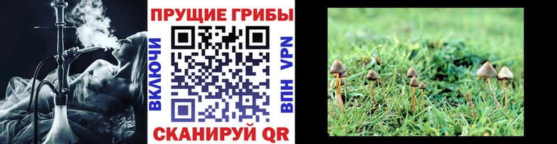 Купить  Покровск  Галлюциногенные грибы ЛСД 